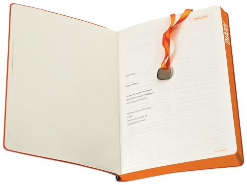 Ежедневник недатированный А5 «Mercury» 4