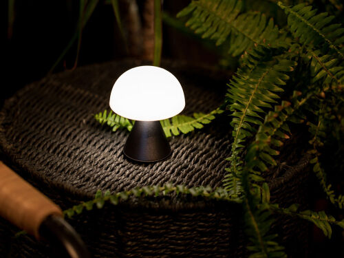 Лампа интерьерная Mina 3