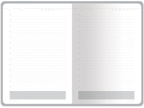 Ежедневник недатированный А5 «Mercury» 5