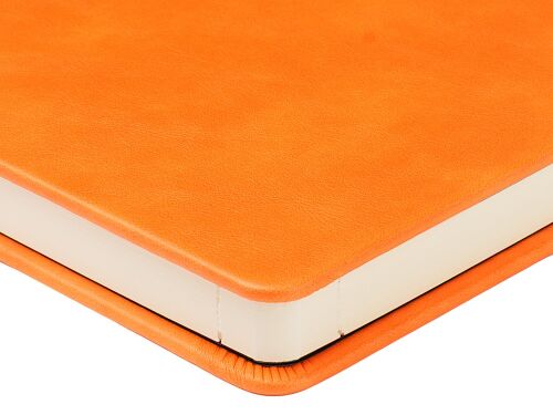 Ежедневник недатированный А5 «Premier» 5