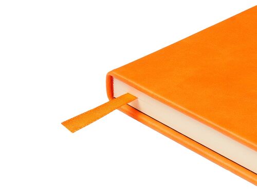 Ежедневник недатированный А5 «Premier» 6