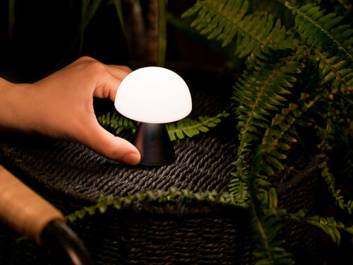 Лампа интерьерная Mina 2