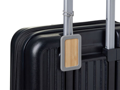 Багажная бирка «Тагу» 5