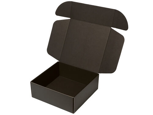 Коробка подарочная «Raven», L 3