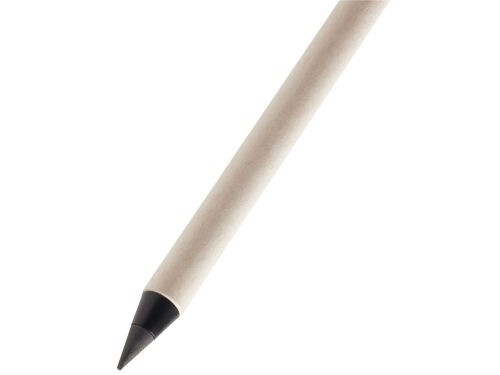 Вечный карандаш из переработанных тетра-паков «Milkpen» 3