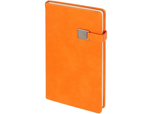 Ежедневник недатированный А5 «Premier» 3