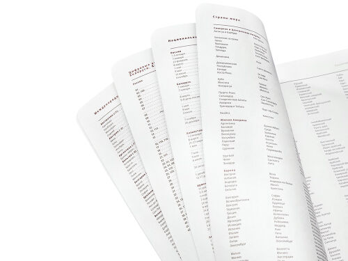 Ежедневник недатированный А5 «Mercury» 3