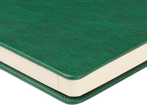 Ежедневник недатированный А5 «Premier» 5