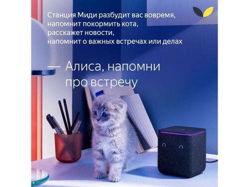 Умная колонка ЯНДЕКС Станция Миди с Алисой, с Zigbee, 24 Вт 2