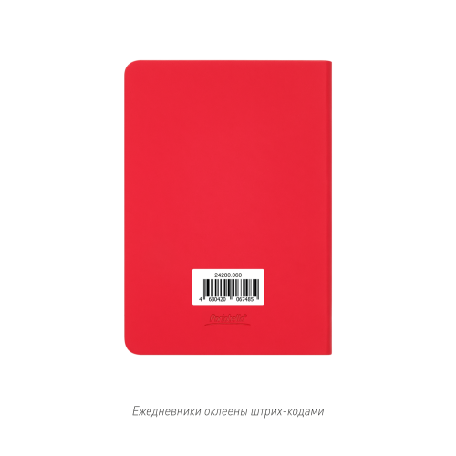 Ежедневник Spark mini A6 недатированный, красный 7
