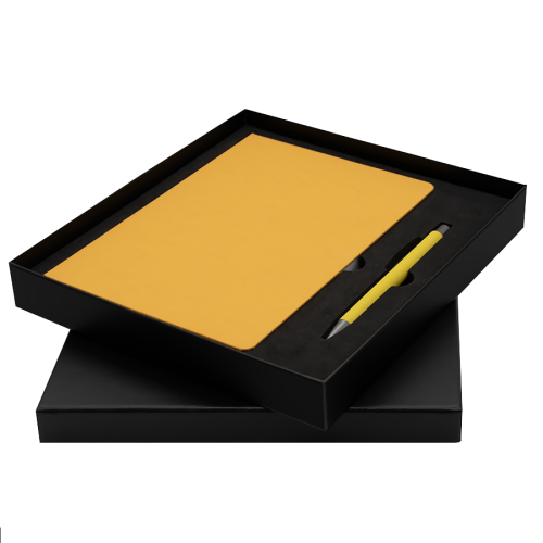 Коробка для набора Bplanner business с цветным ложементом (черны 6