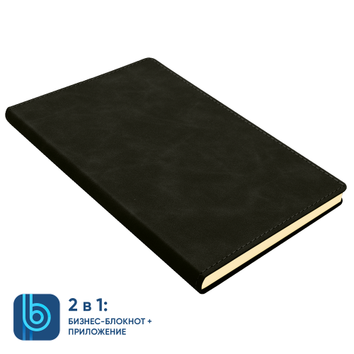 Набор Bplanner Business Power (чёрный с серым) 5